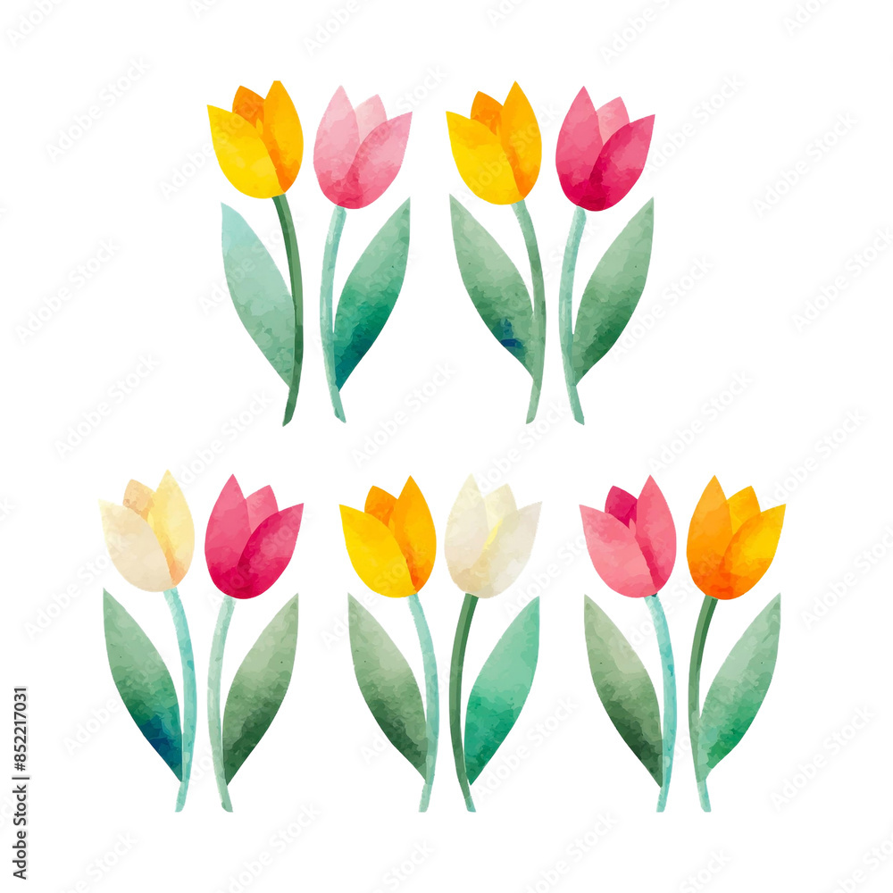 チューリップの花の水彩画風イラスト 白背景の切り抜き チューリップの花の水彩画風イラスト 白背景の切り抜き