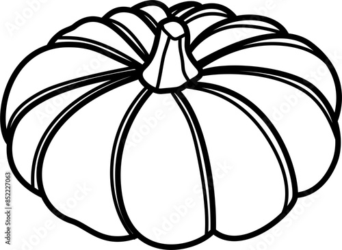 Pumpkin outline illustration vector