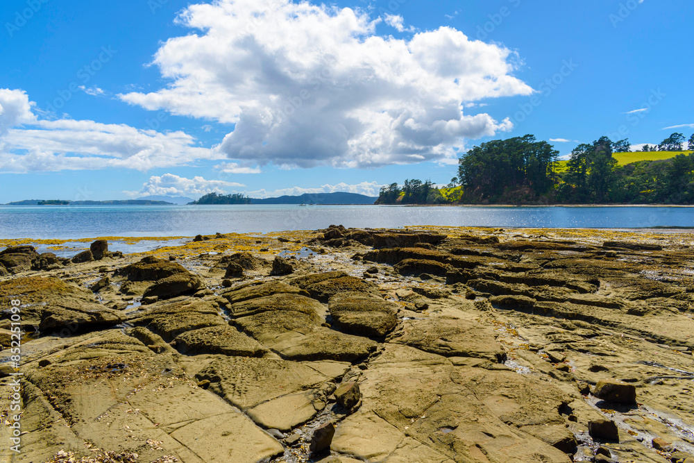 Panoramic View of Scandrett Beach Auckland New Zealand