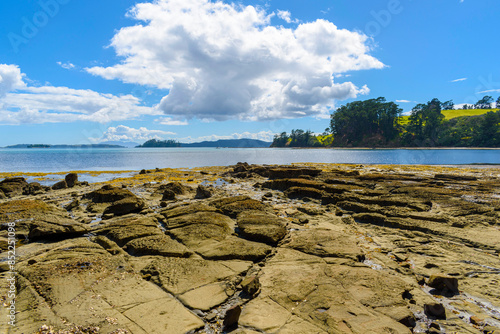 Obraz na płótnie Panoramic View of Scandrett Beach Auckland New Zealand w salonie