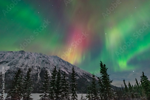 Northern lights aurora seen outside of Whitehorse in Yukon Territory, Canada during winter time with snow covered landscape