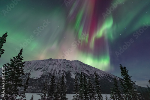 Northern lights aurora seen outside of Whitehorse in Yukon Territory, Canada during winter time with snow covered landscape