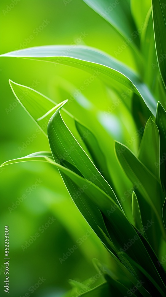Obraz premium a close up of green leaves on a green background