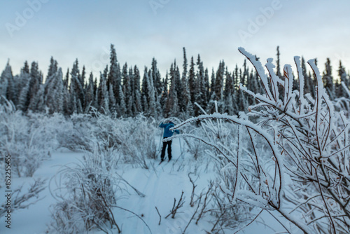 One person skiing along the frozen Yukon River in winter season with stunning blue hour scenery at sunset in the background and frosty landscape.	