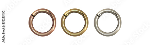 Haberdashery accessories. Round metal snap hooks for women bag. Vector image isolated on white background.