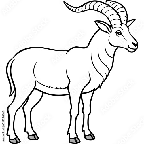 Vector illustration of a goat