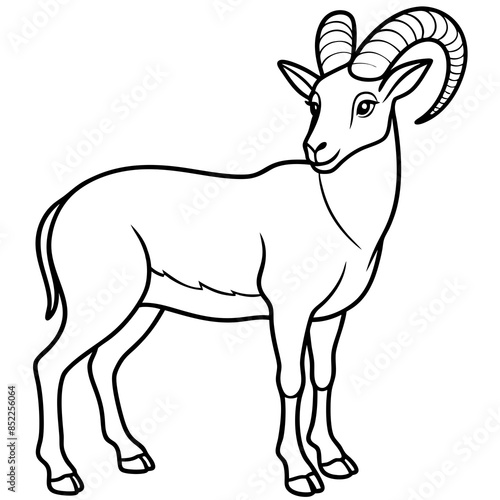 Vector illustration of a goat