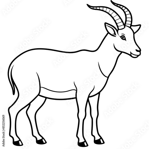 Vector illustration of a goat