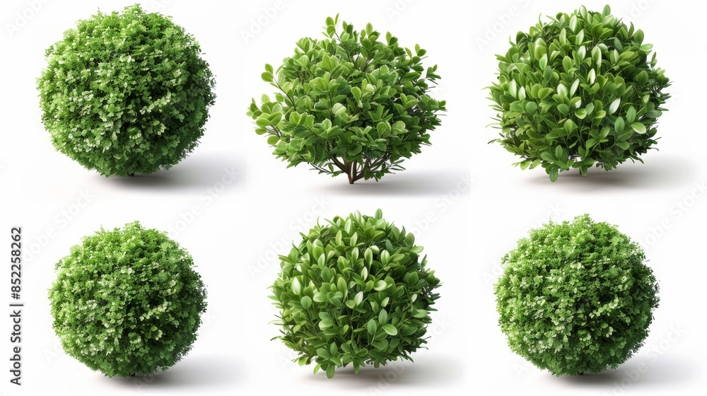 Round Green Shrubs - Perfect for Landscaping and Design Projects, Generative AI Round Green Shrubs - Perfect for Landscaping and Design Projects, Generative AI