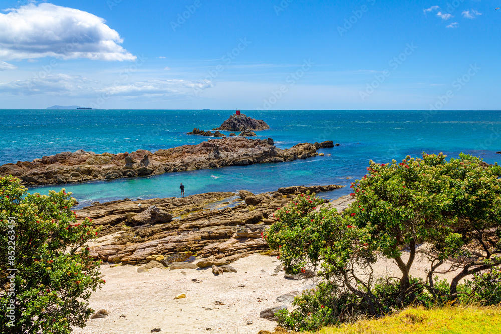 Landscape Scenery of Mount Maunganui Beach, Tauranga - New Zealand; Rocky Part of the Beach