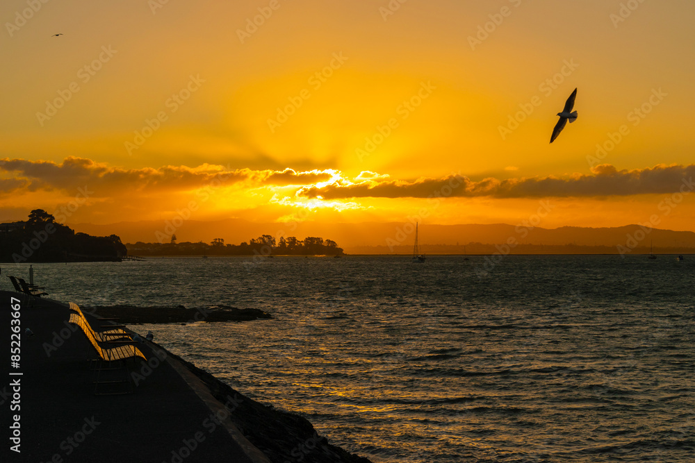 Sunset Scenery at Waitemata Harbour, Auckland New Zealand