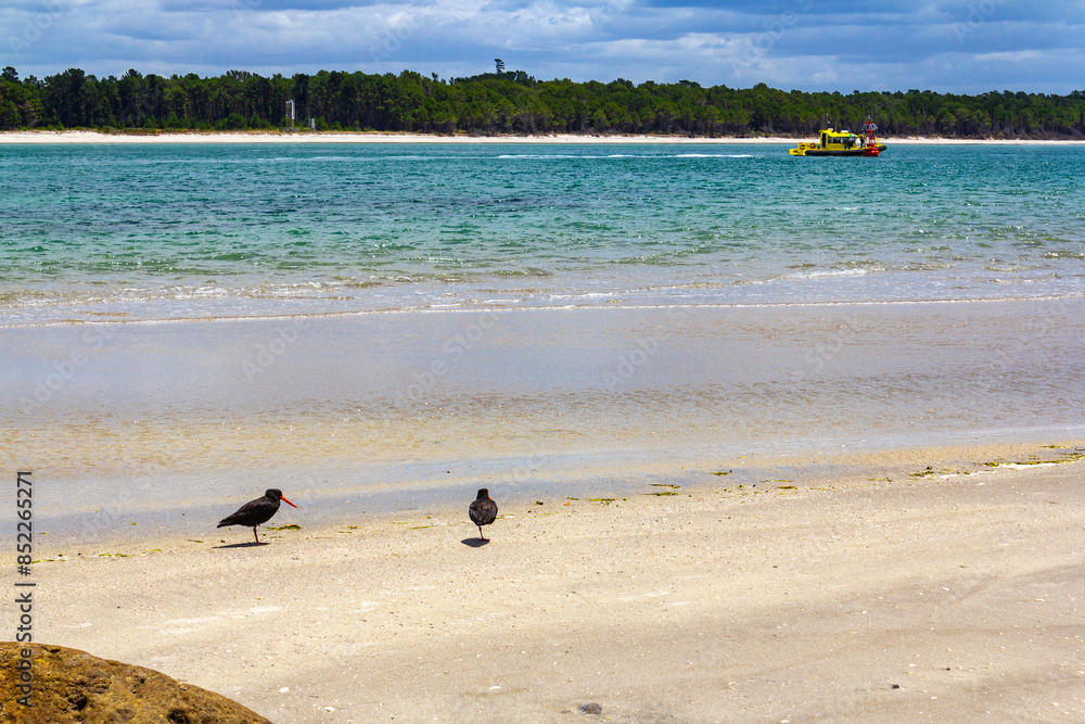 Sea Strait or Passage to Pilot Bay and Tauranga Port, Mount Maunganui Beach - New Zealand