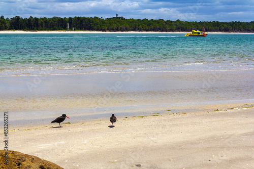 Obraz na płótnie Sea Strait or Passage to Pilot Bay and Tauranga Port, Mount Maunganui Beach - New Zealand w salonie