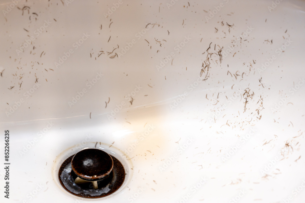 Small pieces of hair left in a bathroom sink after a man finished shaving in the morning Small pieces of hair left in a bathroom sink after a man finished shaving in the morning