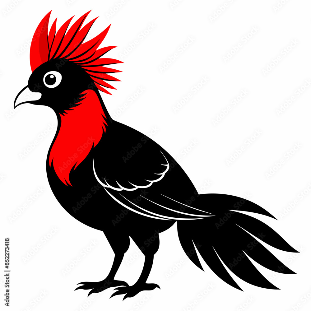 Red-Crested Turaco vector illustration Red-Crested Turaco vector illustration