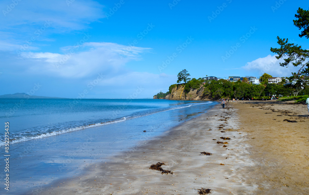 Landscape Scenery Brownsbay Beach and Park, Auckland, New Zealand; Picnic Place for Family