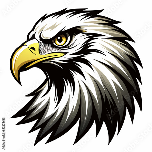 eagle head vector illustration