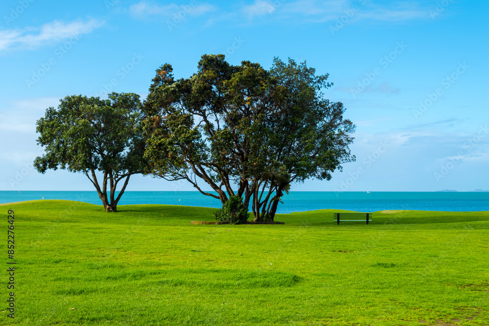 Landscape Scenery Brownsbay Beach and Park, Auckland, New Zealand; Picnic Place for Family