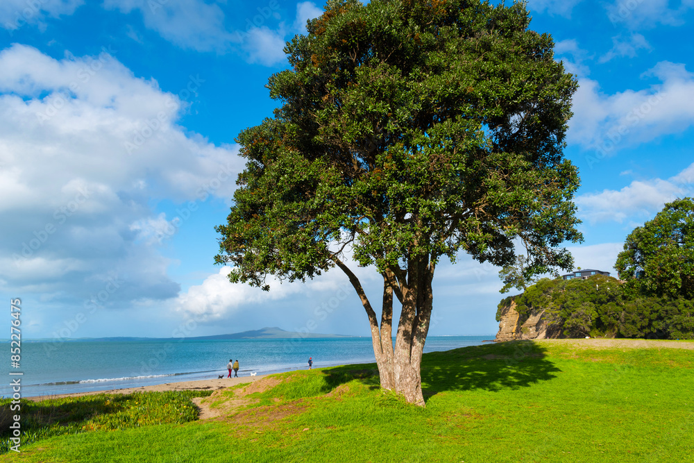 Landscape Scenery Brownsbay Beach and Park, Auckland, New Zealand; Picnic Place for Family