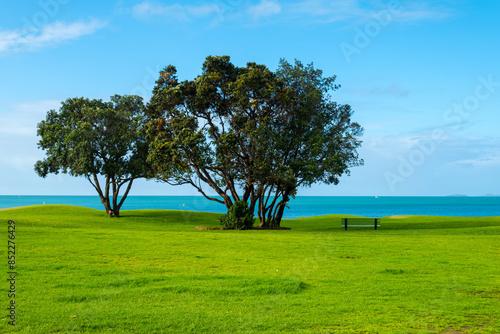 Landscape Scenery Brownsbay Beach and Park, Auckland, New Zealand; Picnic Place for Family