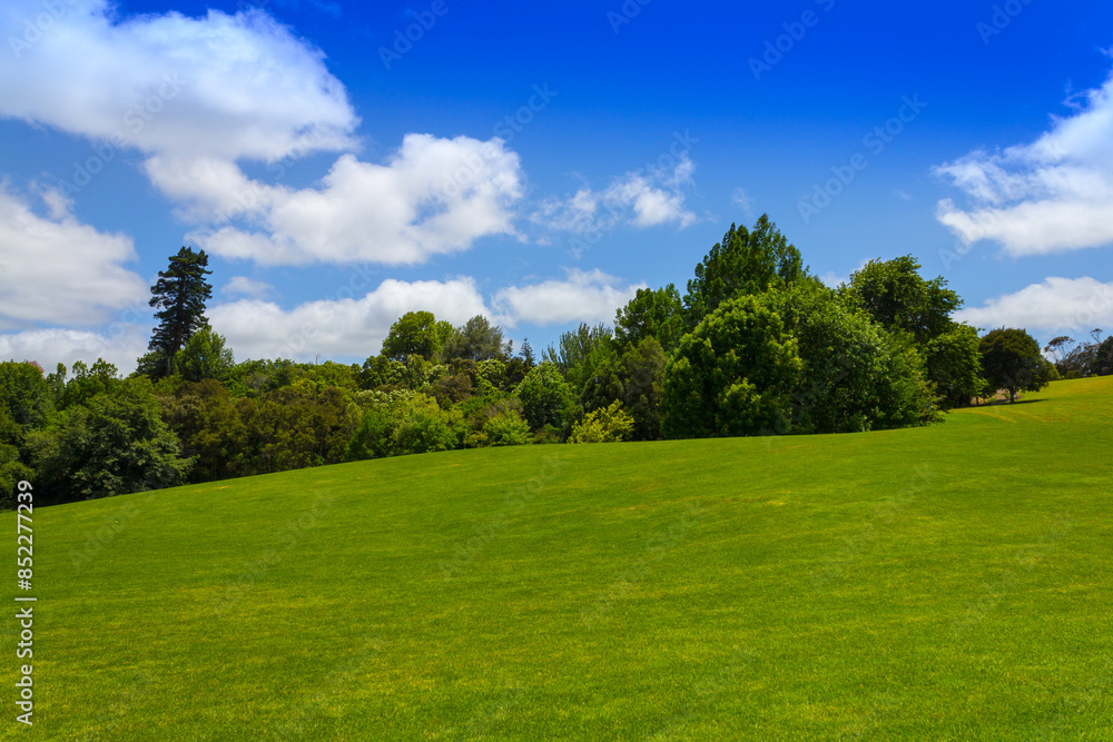 Green Meadow Field Hamilton, New Zealand