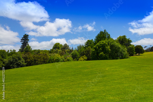 Obraz na płótnie Green Meadow Field Hamilton, New Zealand w salonie