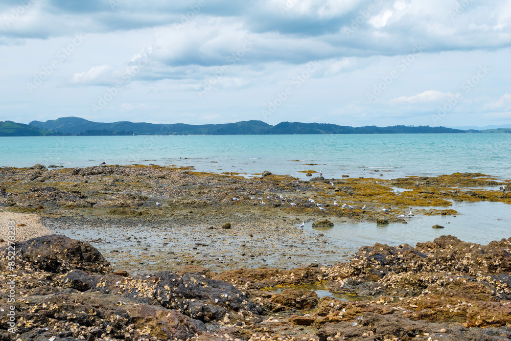 Panoramic View of Maraetai Beach Auckland, New Zealand; Rocky Parts of the Beach during Low Tide