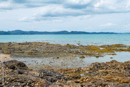 Obraz na płótnie Panoramic View of Maraetai Beach Auckland, New Zealand; Rocky Parts of the Beach during Low Tide w salonie
