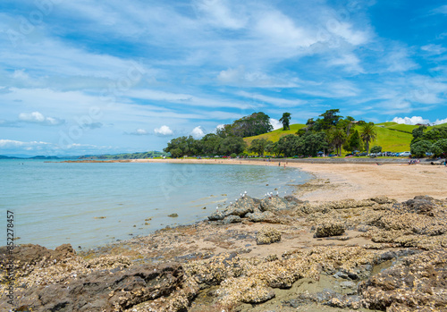 Obraz na płótnie Panoramic View of Waiomanu Beach, Maraetai Beach Auckland, New Zealand; Rocky Parts of the Beach during Low Tide w salonie