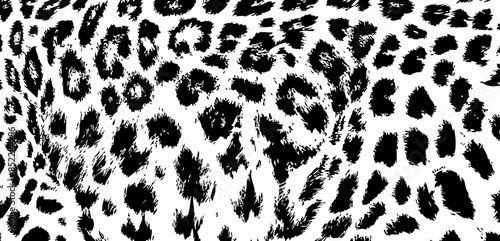 Print background creative texture leopard snow jaguar black and white