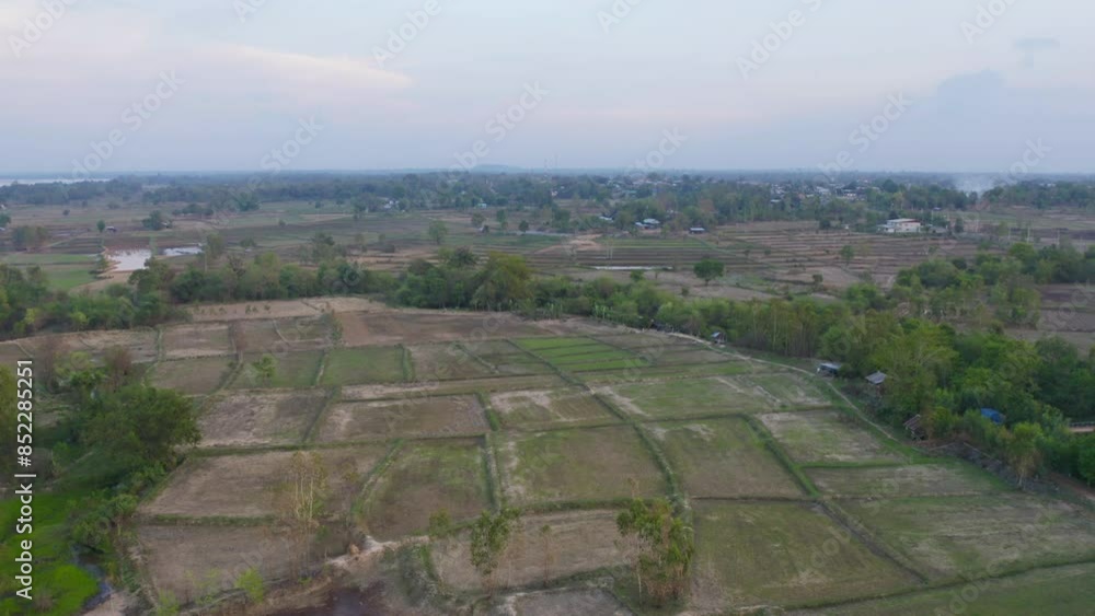Aerial top view of fresh paddy rice, green agricultural fields in countryside or rural area in Asia, Thiland. Nature landscape Aerial top view of fresh paddy rice, green agricultural fields in countryside or rural area in Asia, Thiland. Nature landscape