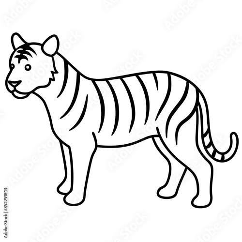 Vector illustration of a tiger