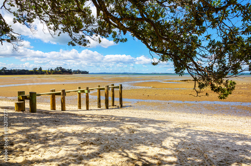 Small Wooden Wharf at Awhitu Regional Park Beach during Low Tide; Kauritutahi Beach; Auckland New Zealand photo