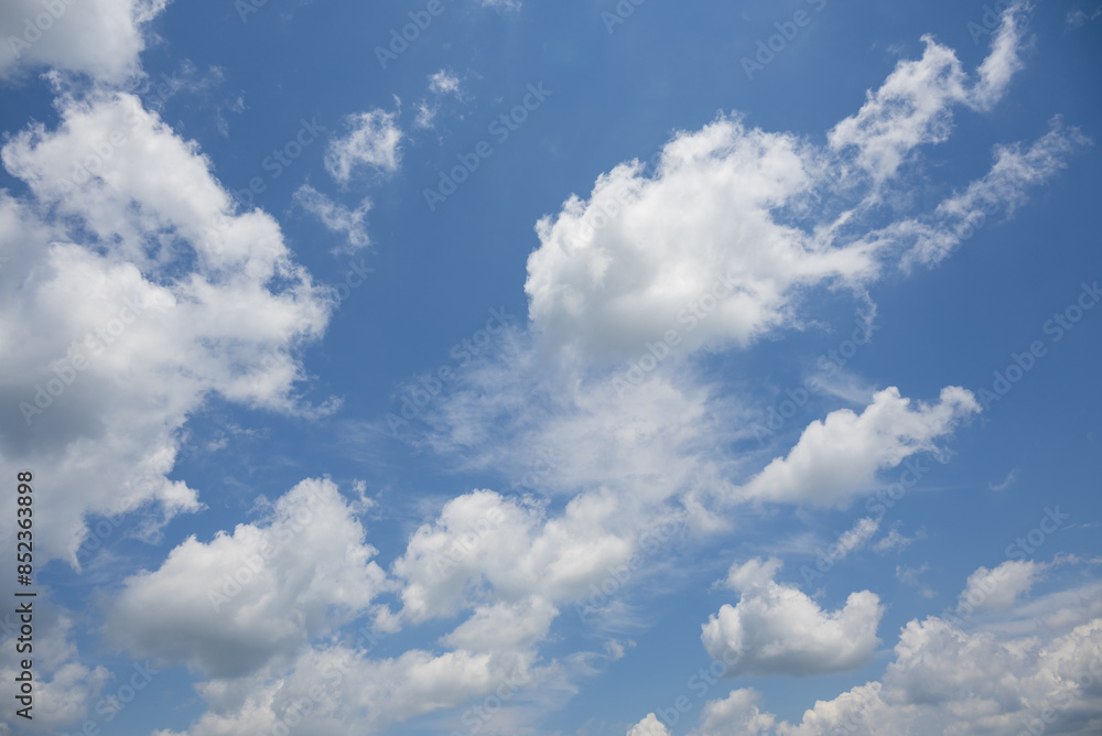 Obraz premium 初夏の青空と白い雲