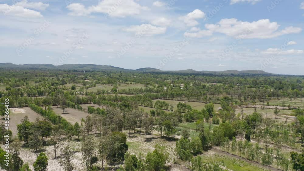 Aerial top view of fresh paddy rice, green agricultural fields in countryside or rural area in Asia, Thiland. Nature landscape Aerial top view of fresh paddy rice, green agricultural fields in countryside or rural area in Asia, Thiland. Nature landscape
