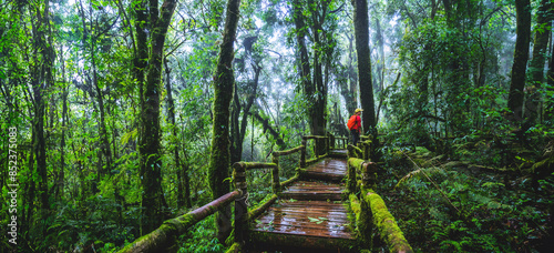 Asian women travel relax Nature Study in the Jungle at Chiangmai in Thailand.