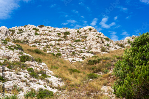 La falaise