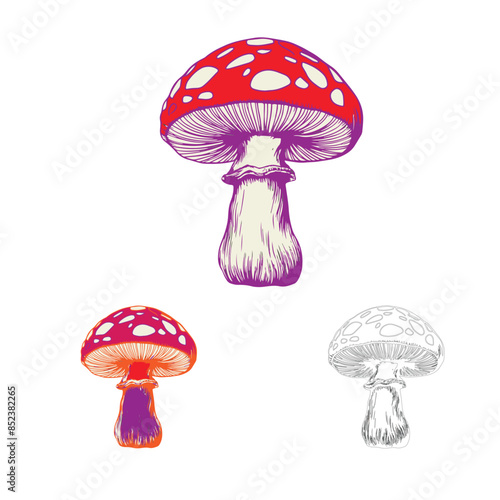 set of mushrooms vector illustration of mushrooms mushroom isolated on a white background sketch.