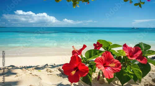 Fototapeta Naklejka Na Ścianę i Meble -  Ideal honeymoon setting with crimson hibiscus and stunning beach