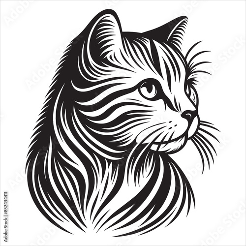 a cute vector silhouette illustration cat