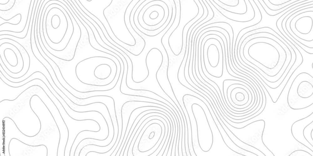 White wave paper curved reliefs abstract background. The topographic map contour in lines isolated. Abstract white topographic map background with lines. Background of the topography map. White wave paper curved reliefs abstract background. The topographic map contour in lines isolated. Abstract white topographic map background with lines. Background of the topography map.