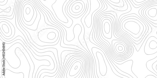 White wave paper curved reliefs abstract background. The topographic map contour in lines isolated. Abstract white topographic map background with lines. Background of the topography map.