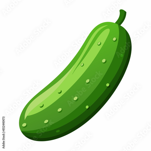 illustration of cucumber