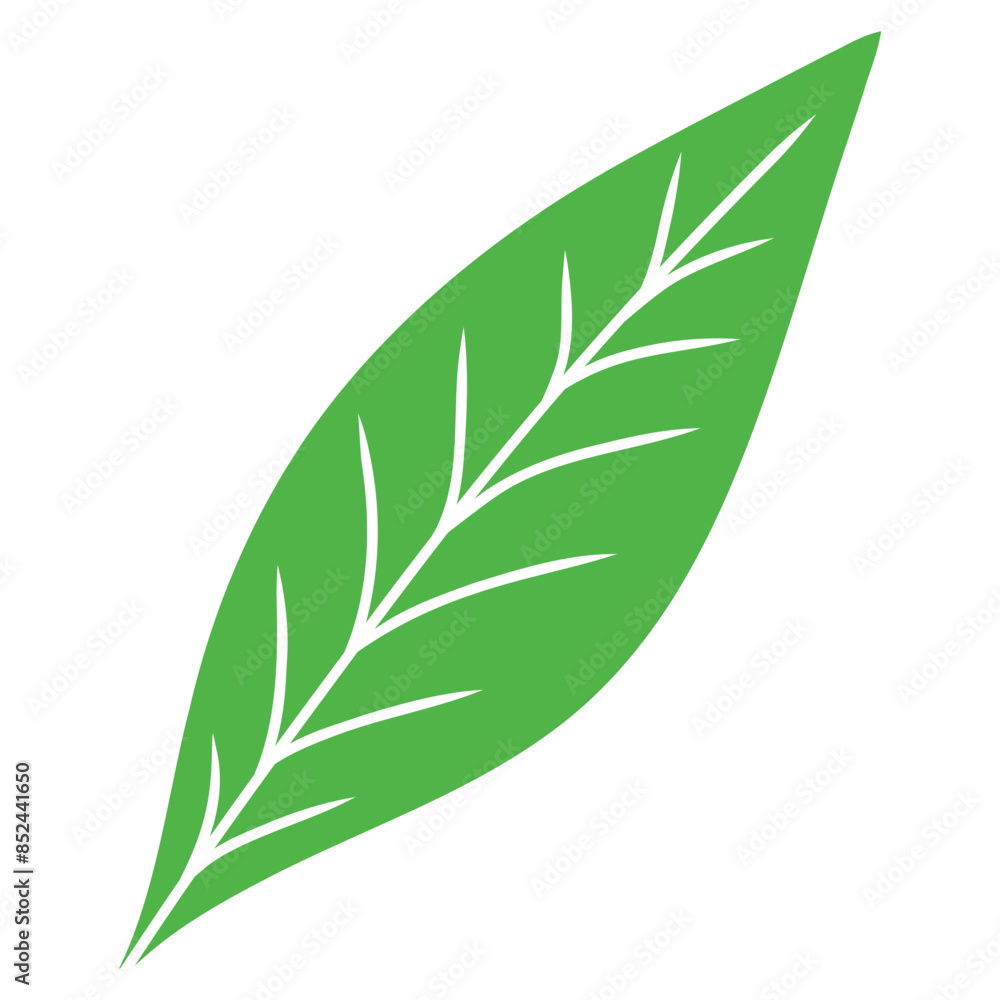 green leaf illustration green leaf illustration