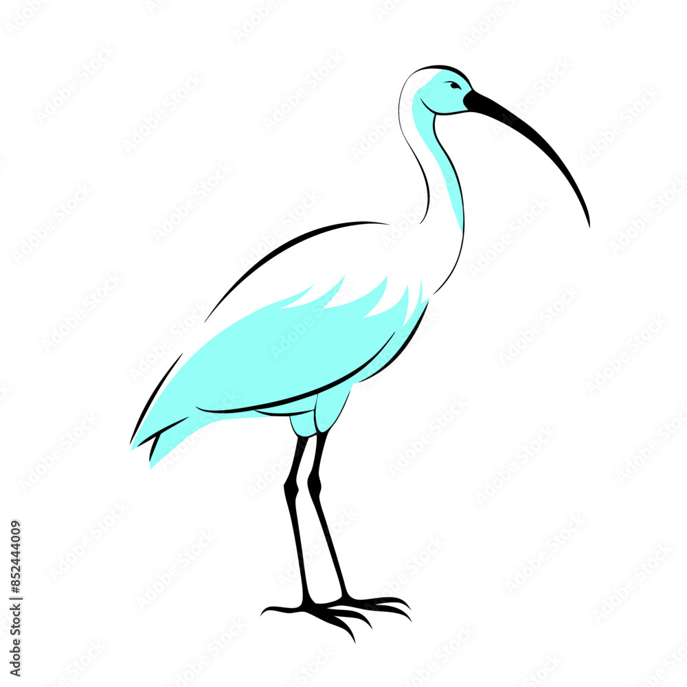 Fototapeta premium An illustrated white ibis with long beak and legs