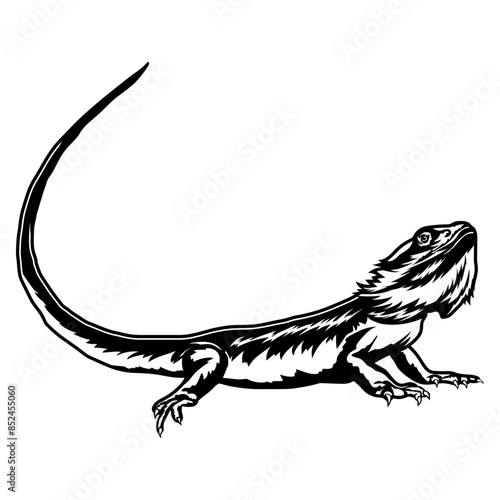 Bearded Dragon