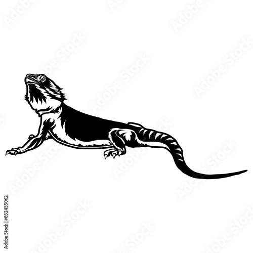 Bearded Dragon