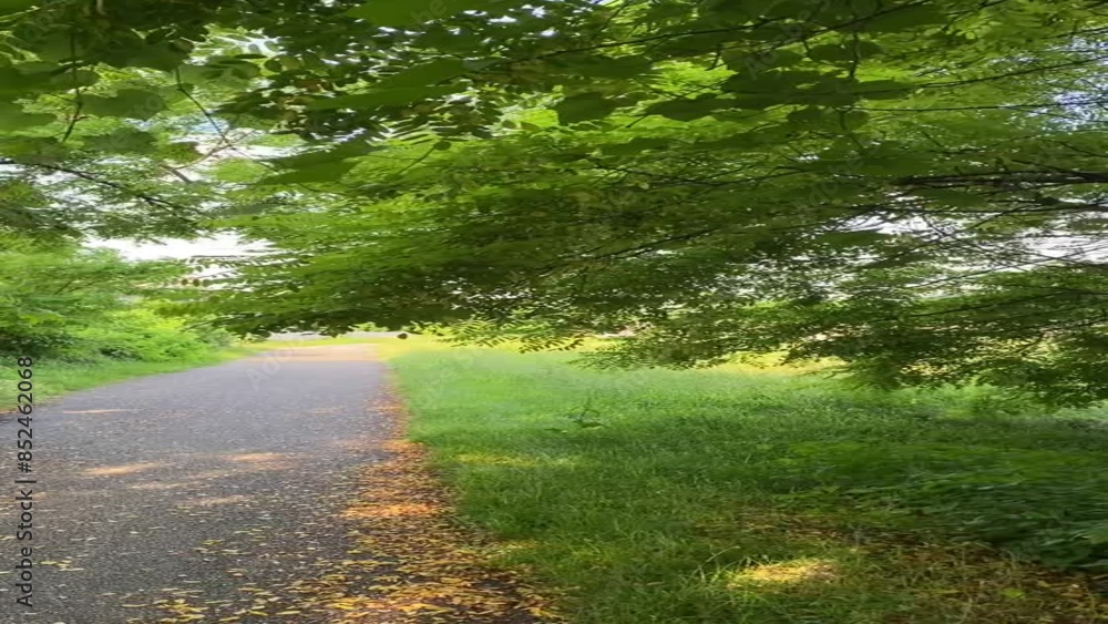 passeggiata nel parco passeggiata nel parco