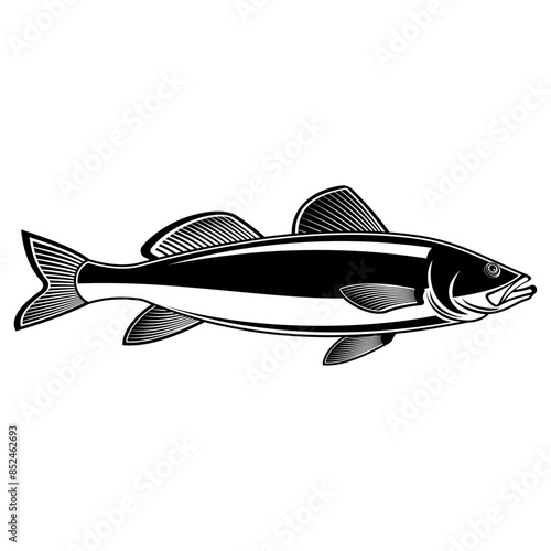 Sea Trout