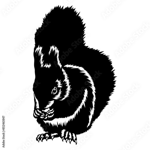 Squirrel